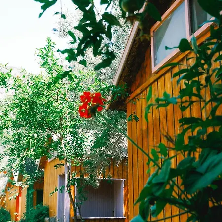 Kaplumbaga Station touristique Fethiye